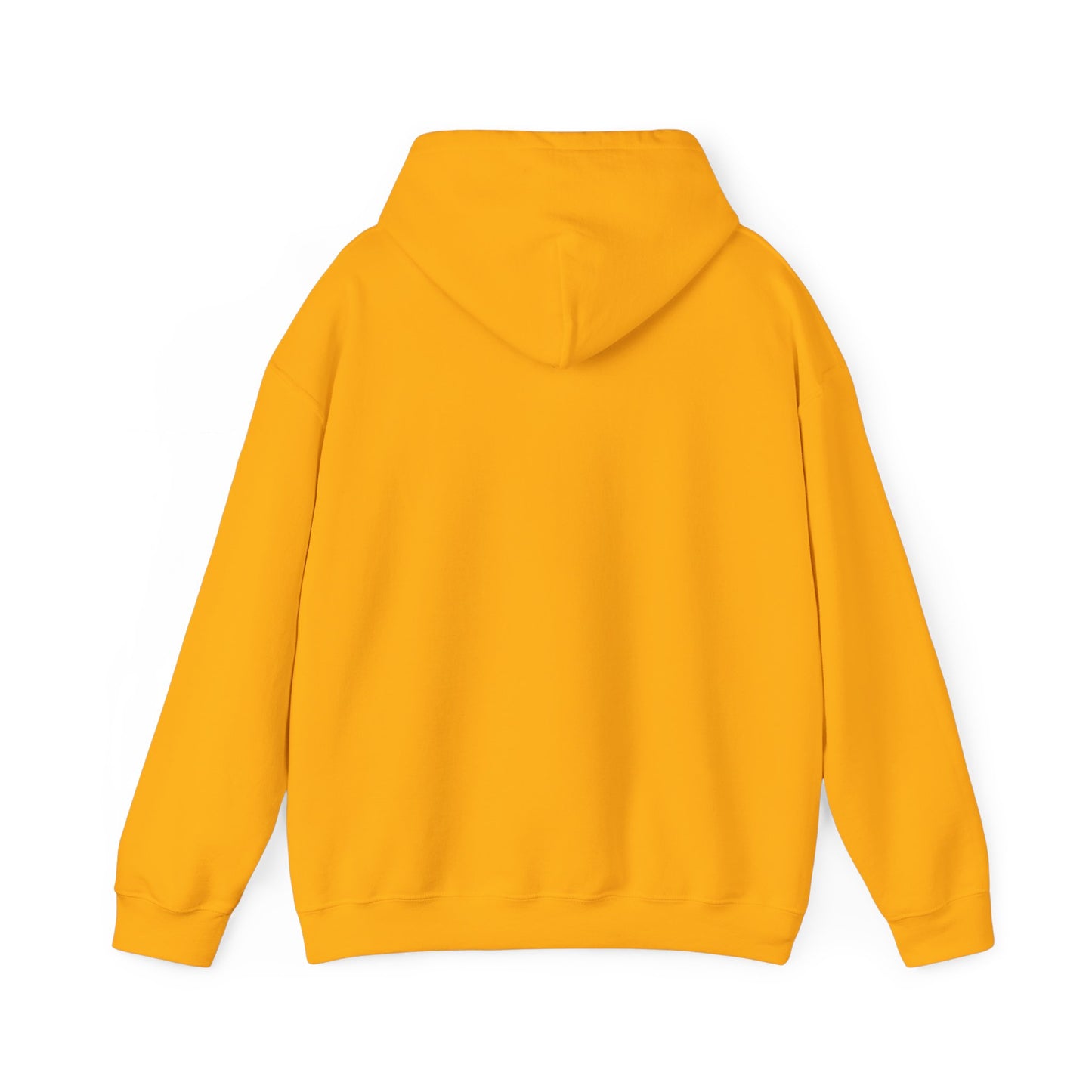 CyVision Sagittarius VS Everybody Unisex Heavy Blend™ Hooded Sweatshirt