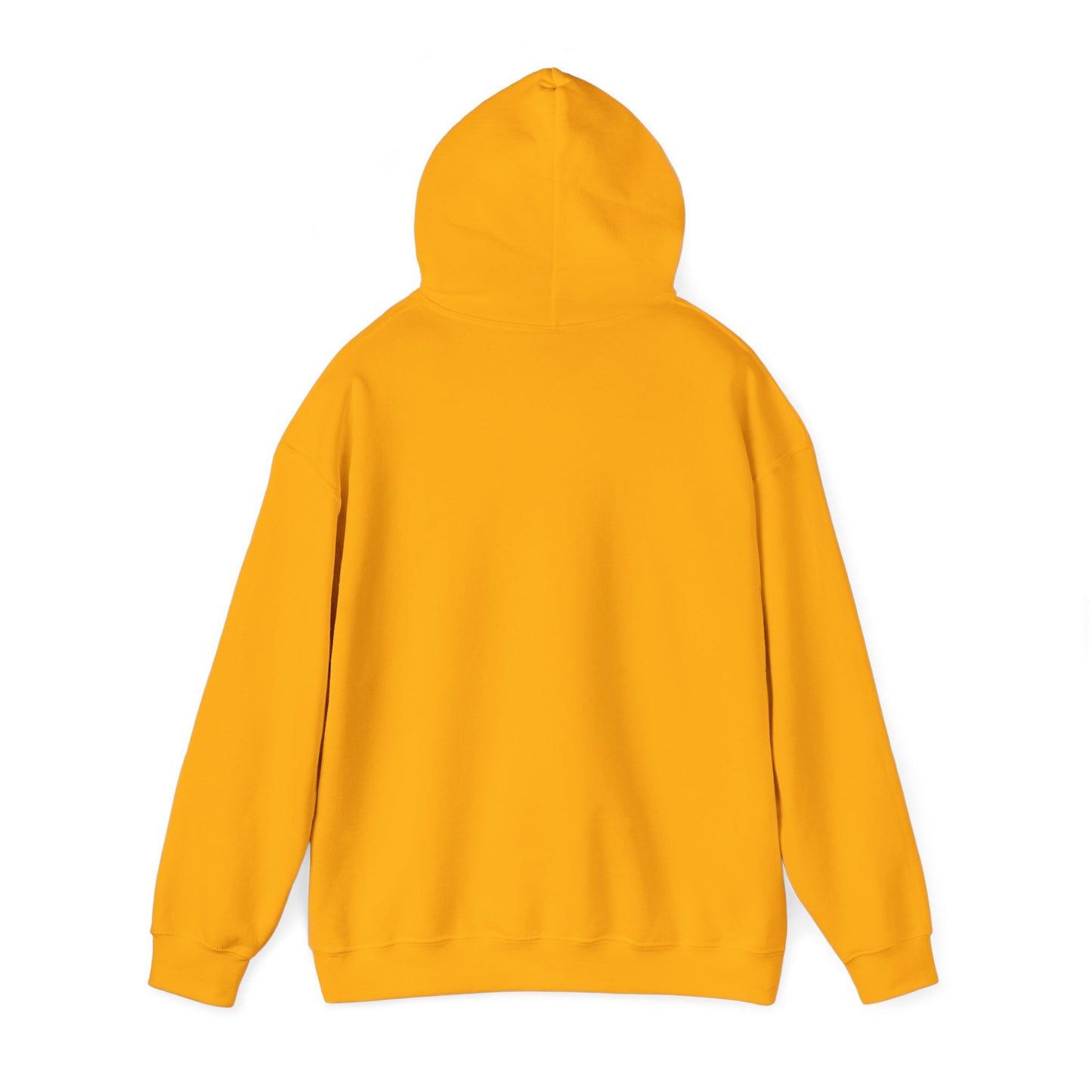 CyVision Sagittarius VS Everybody Unisex Heavy Blend™ Hooded Sweatshirt