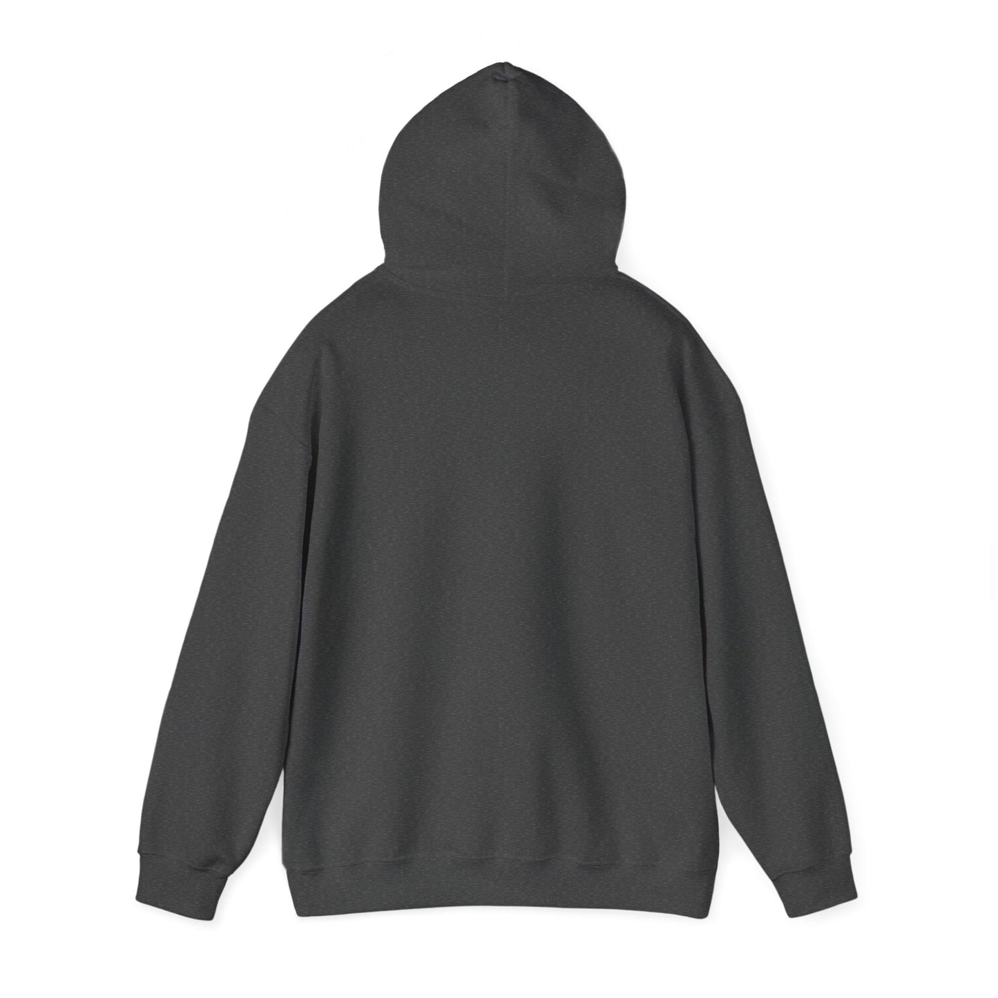 CyVision Gemini VS Everybody Unisex Heavy Blend™ Hooded Sweatshirt